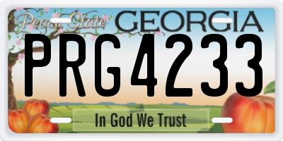 GA license plate PRG4233
