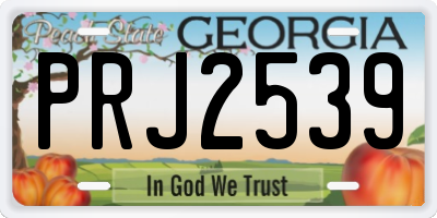 GA license plate PRJ2539