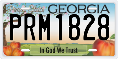 GA license plate PRM1828