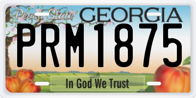 GA license plate PRM1875