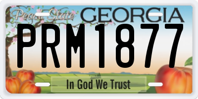 GA license plate PRM1877