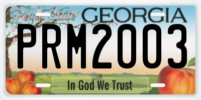 GA license plate PRM2003