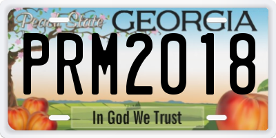 GA license plate PRM2018