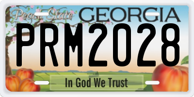 GA license plate PRM2028