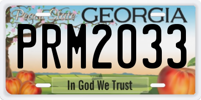 GA license plate PRM2033