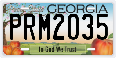 GA license plate PRM2035