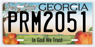 GA license plate PRM2051