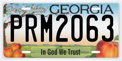 GA license plate PRM2063