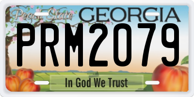 GA license plate PRM2079