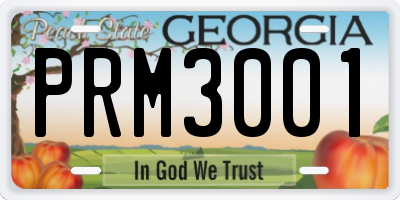 GA license plate PRM3001
