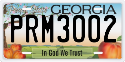 GA license plate PRM3002