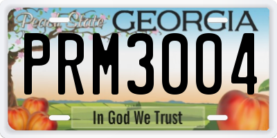 GA license plate PRM3004
