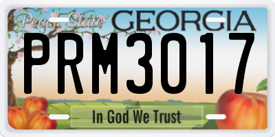 GA license plate PRM3017