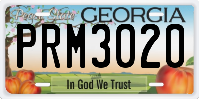 GA license plate PRM3020