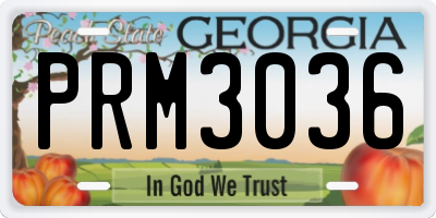 GA license plate PRM3036
