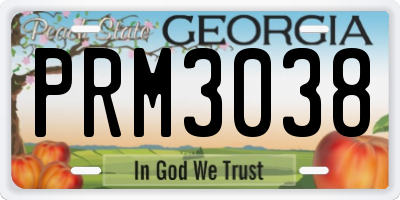 GA license plate PRM3038