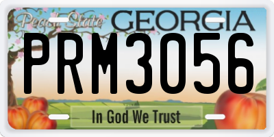 GA license plate PRM3056