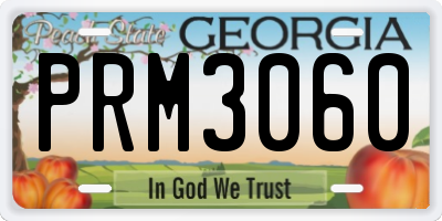 GA license plate PRM3060