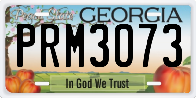 GA license plate PRM3073