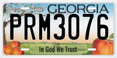 GA license plate PRM3076