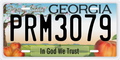 GA license plate PRM3079