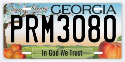 GA license plate PRM3080