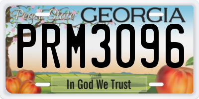 GA license plate PRM3096