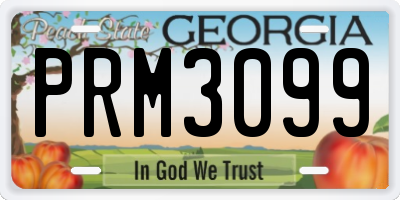 GA license plate PRM3099