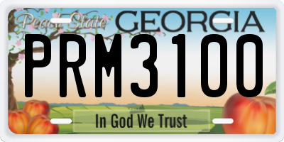 GA license plate PRM3100
