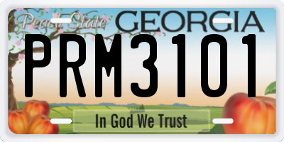 GA license plate PRM3101