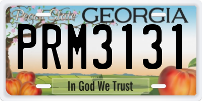 GA license plate PRM3131