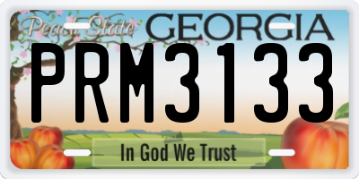 GA license plate PRM3133