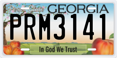 GA license plate PRM3141