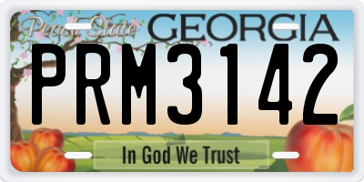 GA license plate PRM3142