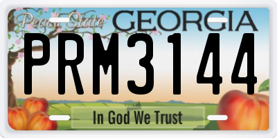 GA license plate PRM3144