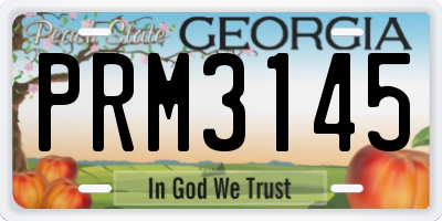 GA license plate PRM3145
