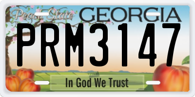 GA license plate PRM3147