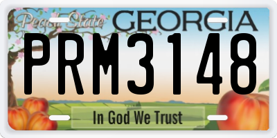GA license plate PRM3148