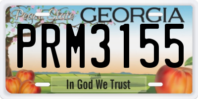 GA license plate PRM3155