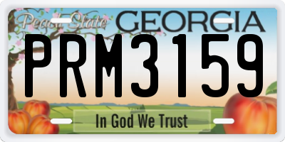 GA license plate PRM3159