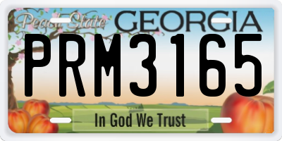 GA license plate PRM3165