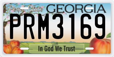 GA license plate PRM3169