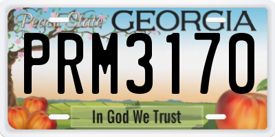 GA license plate PRM3170