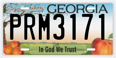 GA license plate PRM3171