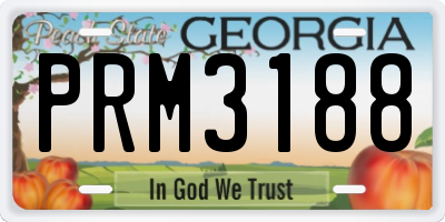 GA license plate PRM3188