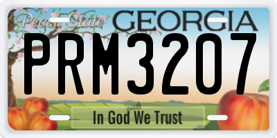 GA license plate PRM3207