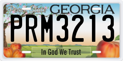 GA license plate PRM3213