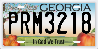 GA license plate PRM3218