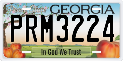 GA license plate PRM3224