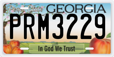 GA license plate PRM3229